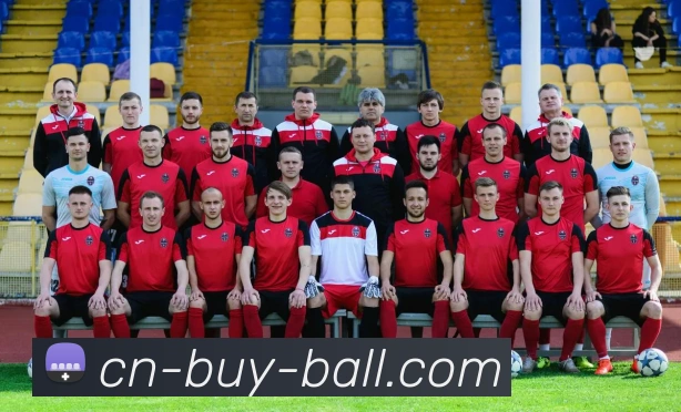 十大买球AppAPP 封面图